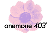 anemone 403